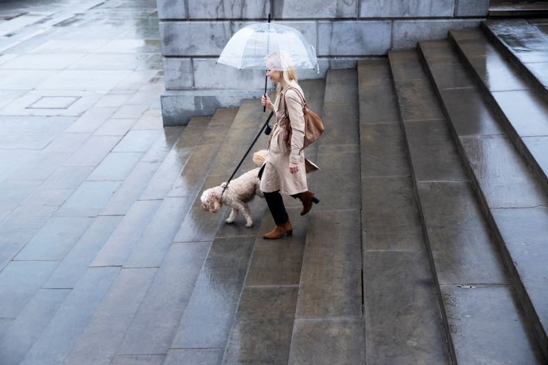 Woman in a beige trench coat walks a small fluffy dog on a leash up wet stone steps while holding a clear umbrella in the rain.