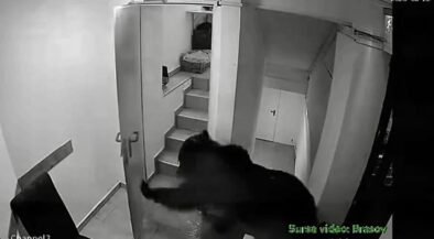 Night-vision security camera shows a shadowy figure in a dark hoodie moving toward an open doorway in a narrow stairwell, with stairs and a landing visible nearby (grainy surveillance footage).