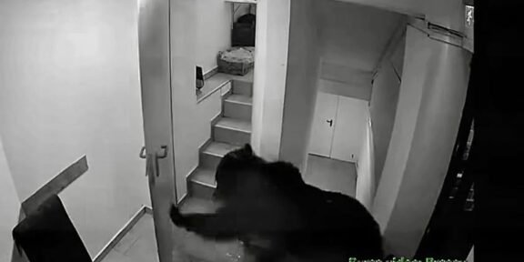 Night-vision security camera shows a shadowy figure in a dark hoodie moving toward an open doorway in a narrow stairwell, with stairs and a landing visible nearby (grainy surveillance footage).