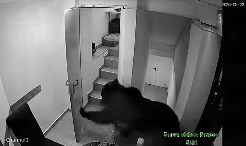 Night-vision security camera shows a shadowy figure in a dark hoodie moving toward an open doorway in a narrow stairwell, with stairs and a landing visible nearby (grainy surveillance footage).