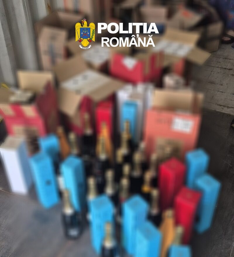 Control în Portul Constanța. Bunuri de 90.000 de lei, ascunse într-un container