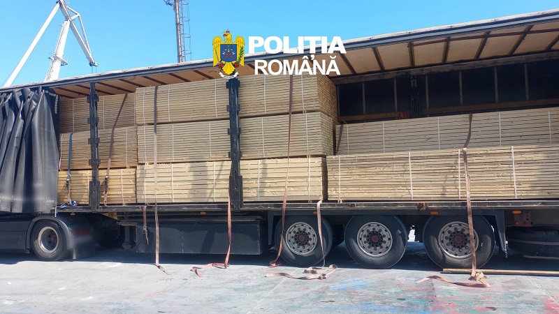 Transport ilegal de cherestea descoperit în Portul Constanța Sud. Marfă de 32.000 de lei, indisponibilizată