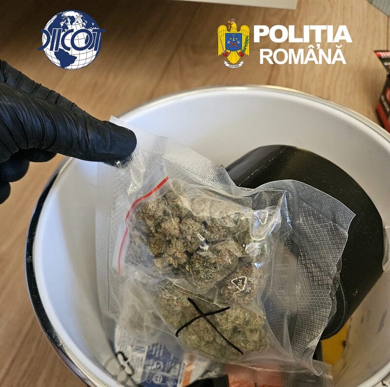 Percheziții la Constanța. Peste 4 kilograme de substanțe interzise, ridicate de anchetatori