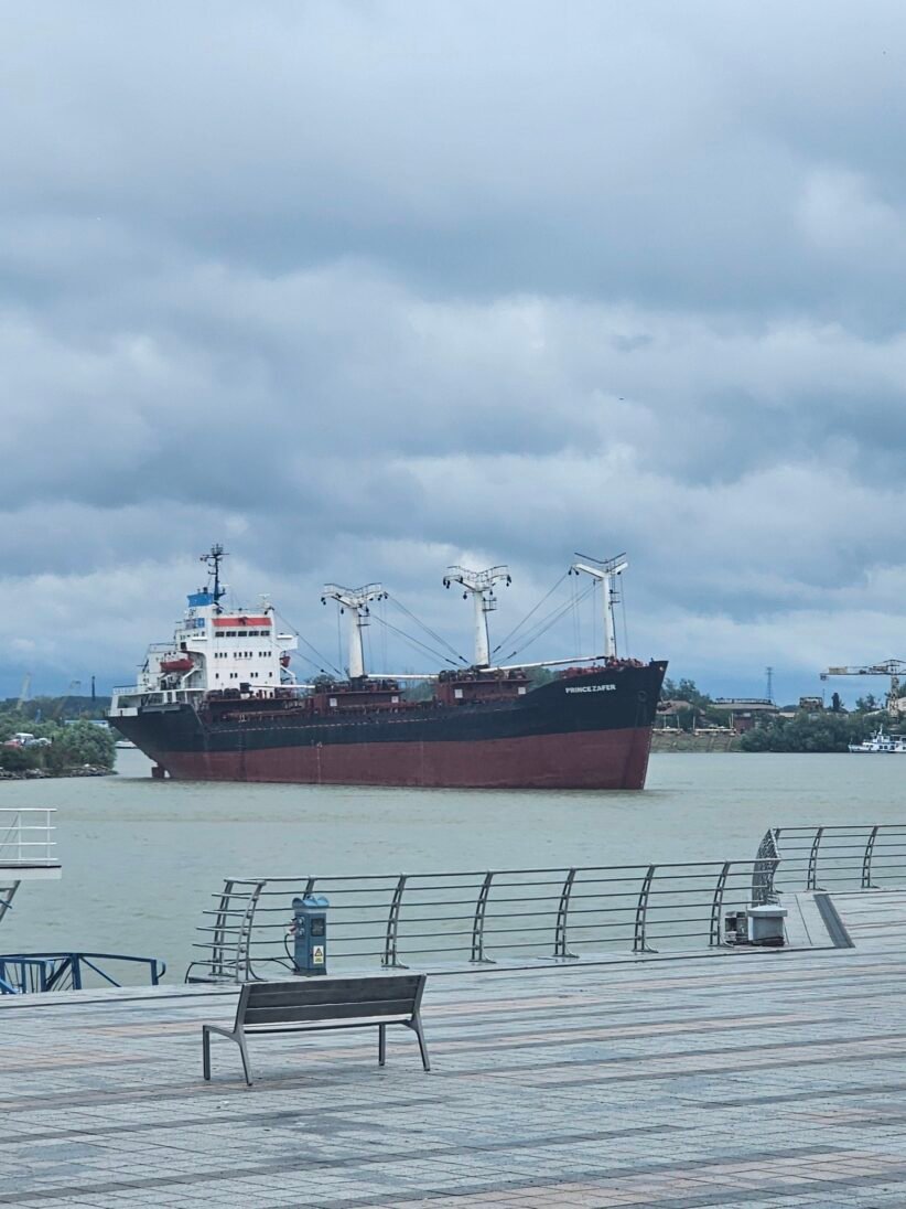 Large cargo ship with cranes near a waterfront promenade under a cloudy sky.