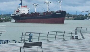Large cargo ship with cranes near a waterfront promenade under a cloudy sky.