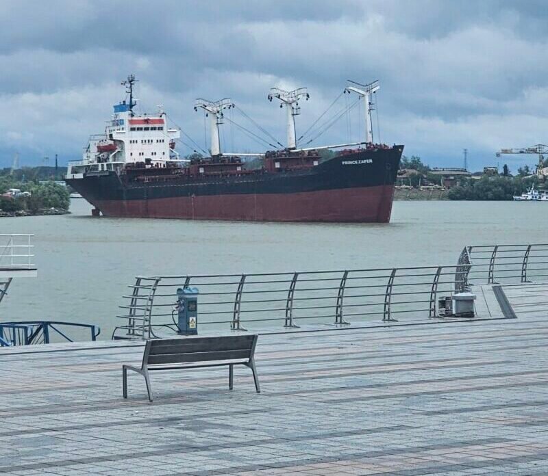 Large cargo ship with cranes near a waterfront promenade under a cloudy sky.