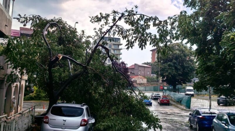 Furtuna a făcut prăpăd în Tulcea! Zeci de copaci doborâți, acoperișuri smulse și peste 70 de apeluri la 112