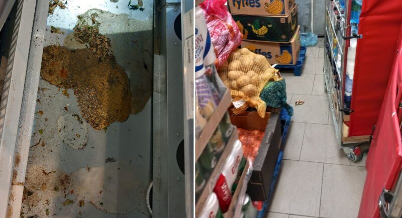Beach bar-uri fără autorizație și condiții insalubre în unități alimentare din Constanța. Rezultatele controalelor CJPC