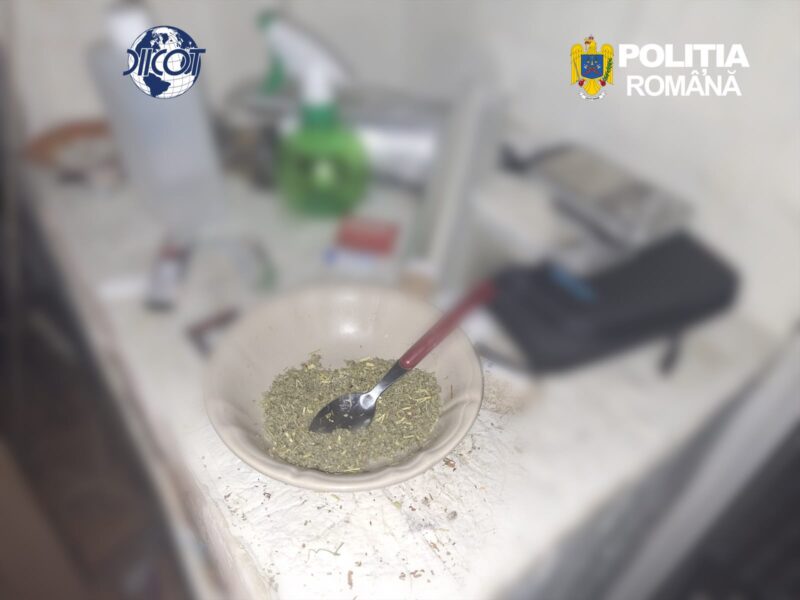 Percheziții la Constanța într-un dosar de trafic de droguri. Un tânăr de 26 de ani, reținut