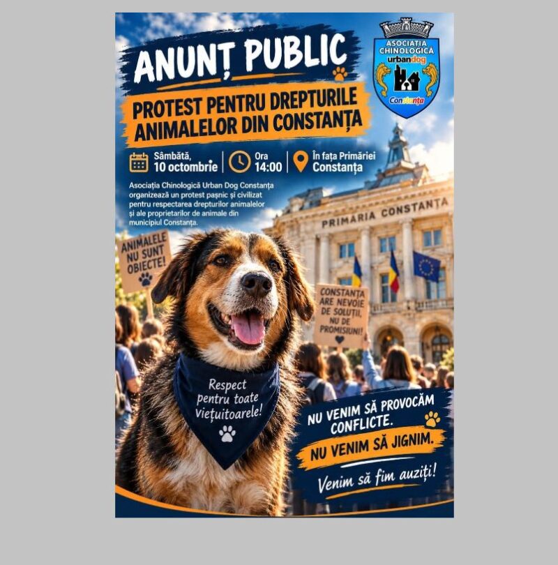 Protest pentru drepturile animalelor la Constanța! Proprietarii de animale ies, pe 10 octombrie, în stradă